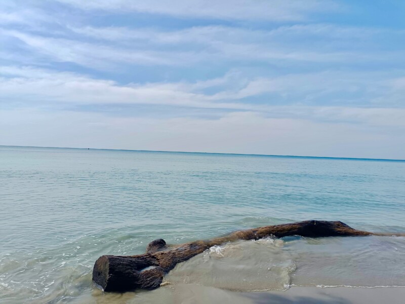 IMG_20221226_111358~2_Original